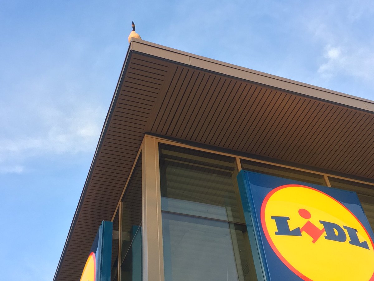 Honking about the great prices. #lidl #goose