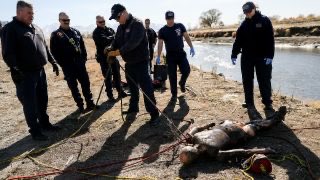 “Dead body reported in Jordan River turns out to be mannequin”

Okay, okay. I guess sometimes it DOES end up just being a mannequin.  

Still, we should always report and avoid disturbing the scene.  ksl.com/article/467179…