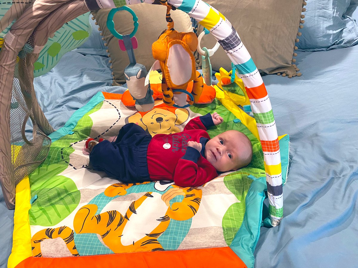 haleyycase's tweet photo. Mamas big boy❤️ https://t.co/XTuX611dpC