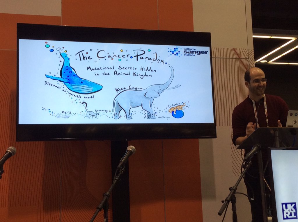 Julia Wilson (@jul_wil) on Twitter photo Who is going to sketch this talk when <a href="/ATJCagan/">Alex Cagan</a> is presenting rather than drawing? <a href="/sangerinstitute/">Wellcome Sanger Institute</a> #AAASmtg Who is going to sketch this talk when <a href="/ATJCagan/">Alex Cagan</a> is presenting rather than drawing? <a href="/sangerinstitute/">Wellcome Sanger Institute</a> #AAASmtg