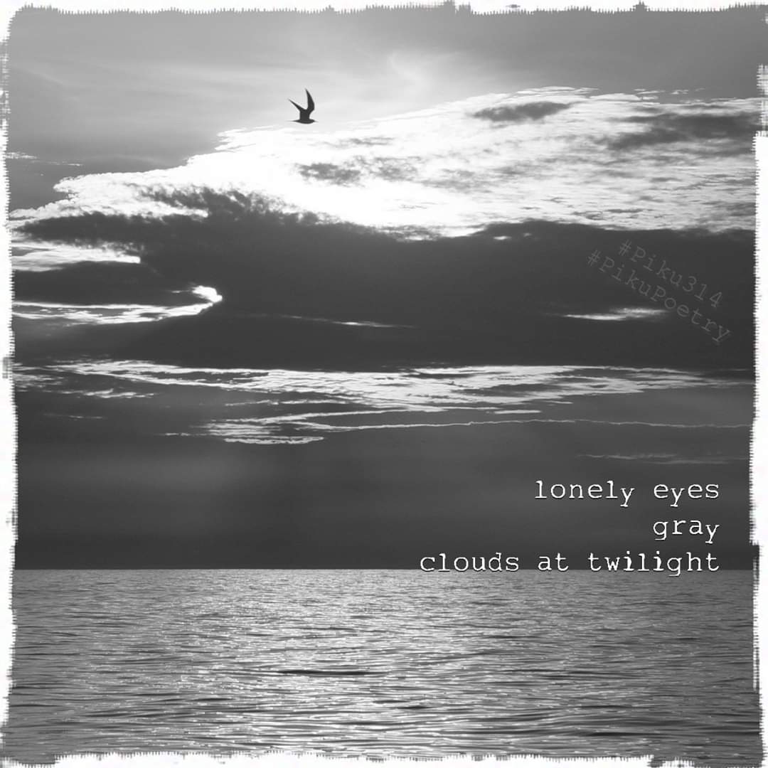 piku_poetry_314's tweet photo. It's #NationalHaikuWritingMonth
.
#NaHaiWriMo prompt for Day 12 is #twilight
.
lonely eyes
gray
clouds at midnight
.
#PikuPoetry #Pieku #poetry #poetrycommunity #haiku #senryu #haiga #shahai #piehai #piega #BeatPoetry #Piku314 #BiteSizedPoems #VoMoPo #Binkstuff #JustDelmarvalous https://t.co/iAqYlEfqlS