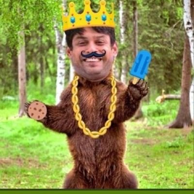 asimians's tweet photo. @Mady_ze @ColorsTV @BiggBoss @EndemolShineIND @sidharth_shukla oh yeah, unBEARable, whoopsies. #FixedWinnerSidharth #MyWinnerAsim https://t.co/rKdzYfPQSY