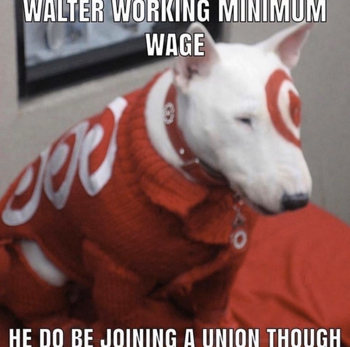 Radiance tweet media