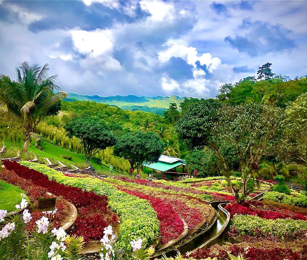 Cebu Safari & Adventure Park tweet media