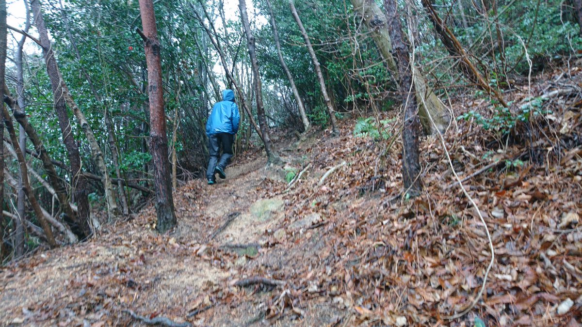 katuo55's tweet photo. GOREシェイクドライを雨の日に初着用、さすがに雨弾いてくれるしシェイクすると露が落ちてgood。あとは撥水の継続性を注視するとこ。ORのミトンは防水なのに中まで濡れて全くダメ。これ分かっただけでも雨の日に行った値打ちありでUTMFのギア見直ししよう。#UTMF2020 https://t.co/fSYSlBOBon