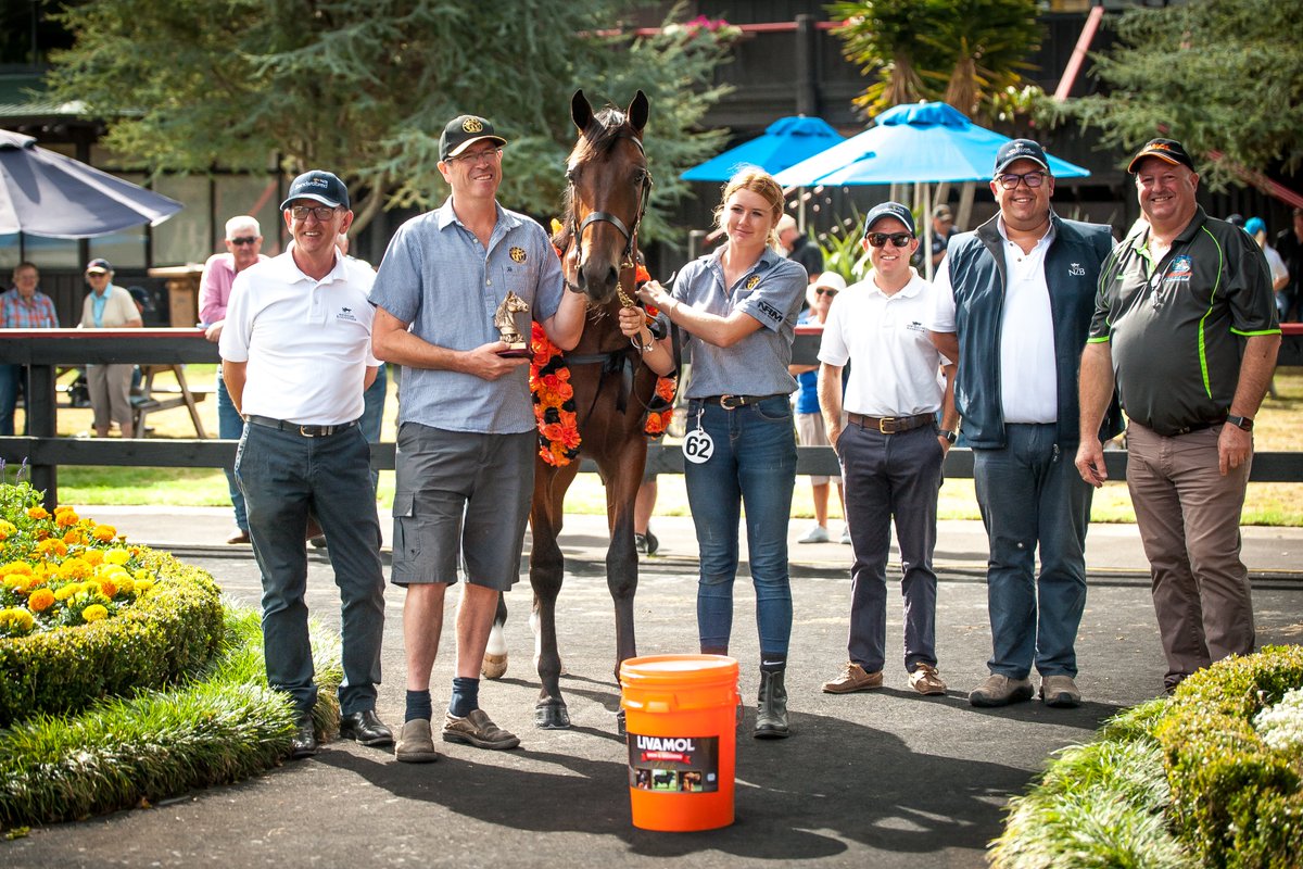 nzbstandardbred's tweet image. Congrats to @Alabarfarms, the winners of the @IAHProducts Best Presented award at the Auckland Parade with their yearling in Lot 62 (Art Major x Western Willow) colt. 🧡✨

Lot 62 will be on of 131 lots that are ready to go under the hammer at the AKL Sale tomorrow from 10.45am.