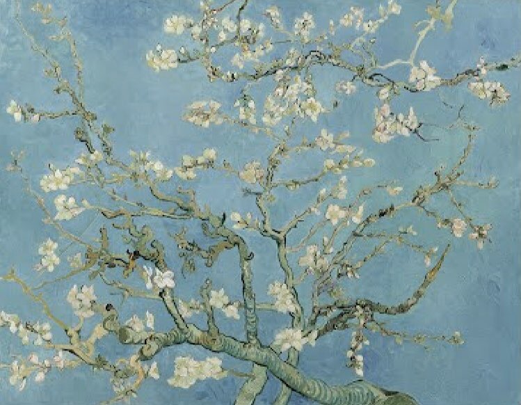 _____yohaku's tweet photo. フィンセント・ファン・ゴッホ《花咲くアーモンドの木の枝》　https://t.co/VoHqh44z2K