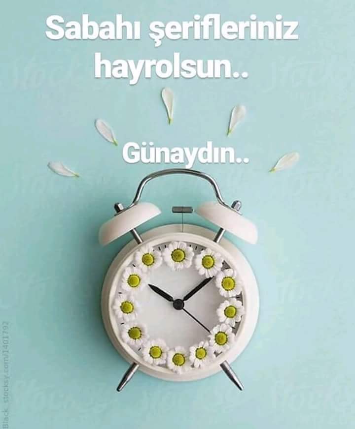 @HAYY_HAK_3491 @AYK8276 @eminecelik62 @mineCellikk @Yeniden_Refah42 @_agah_1 @AkOsManLi_NiHaT @d_cakaroglu @ch_sabir @feyzZehra @mete_gullu @kizi_osmanli @BaskayaEsref @Turk_ayland BiL MukabeLe EFendim..
Huzur'Lu Bir SABAH, 
GüzeL Bir Gün OLsun İnşaALLAH..
MutLu PAZAR'Lar...