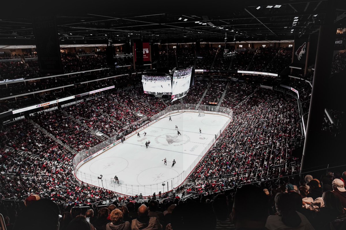 Arizona coyotes fan capacity