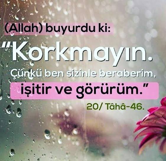 @eminecelik62 @mineCellikk @Yeniden_Refah42 @_agah_1 @AkOsManLi_NiHaT @AYK8276 @d_cakaroglu @ch_sabir @feyzZehra @HAYY_HAK_3491 @mete_gullu @kizi_osmanli @BaskayaEsref @Turk_ayland SeLâmün ALeyküm!🍀
GECE'niz GüzeL OLsun İnşaALLAH..
🌿🌷#TeyzelerinGülü 🌹🌹
ALLAH Dostu OLmayı KâLben DiLeyeLim, 
İsteyeLim...

RABB'imiz Bu DiLek İLe Ruhumuzu 
Kendine ULaştırsın...

O'na TesLim OLan RuhumuzLa Yaşarken 
MİRAC'ı YaşayaLım...

#TeheccüdNamazı 
#NamazKardeşiyiz