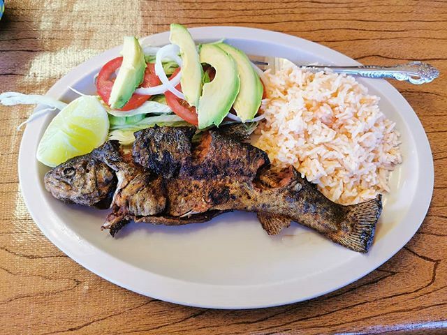 sharemytable's tweet photo. Local Mountain trout caught on demand https://t.co/lRpamhodKu https://t.co/YPiOJ7aNih