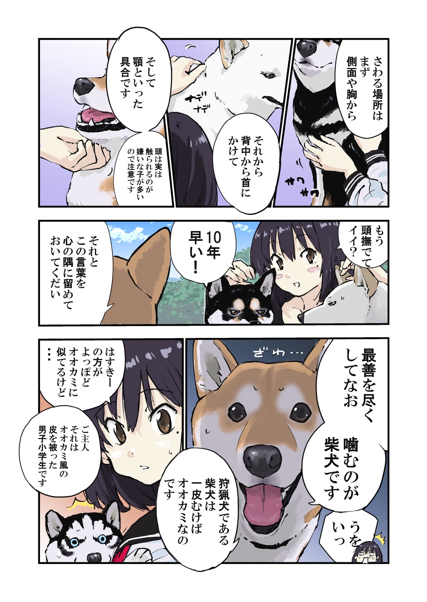 石原 雄 世界の終わりに柴犬と 前回の続き 初対面の犬の触り方の話 T Co Slsvcr6wvv Twitter
