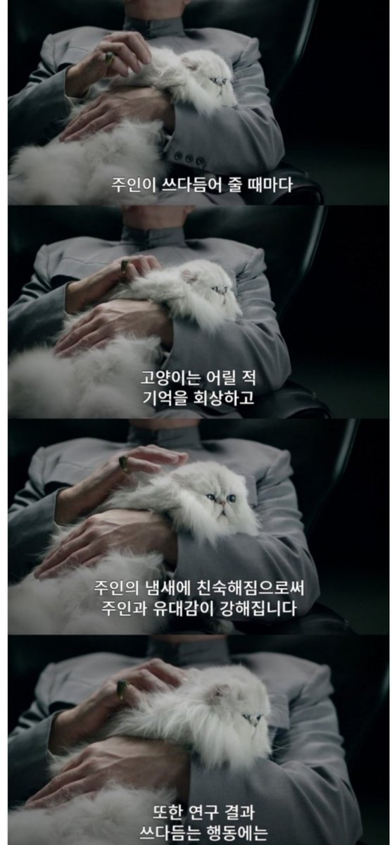 WkfxjfrP's tweet photo. 고양이를 쓰다듬어야 하는 과학적 이유 https://t.co/Vp3RAX4pN2