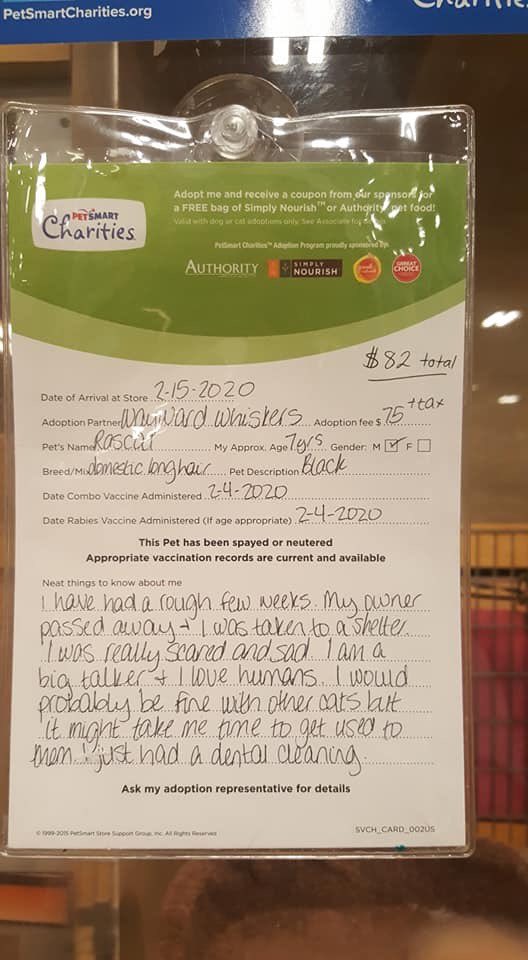 ratacoochee's tweet photo. for anyone in SA area! this is at the petsmart off 151 and 410 someone pls adopt him 😭😭😭😩😩😩 https://t.co/Ozp4mA9uQp