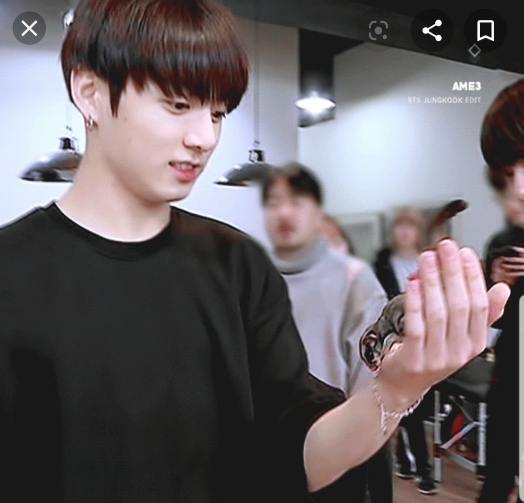 Jin's had some very exotic pets! Around 2017, he revealed that he actually had pet Sugar Gliders, and they lived with him in the dorm. He sometimes brought them to the practice room for the others to play with too. And he was a very responsible pet owner.
