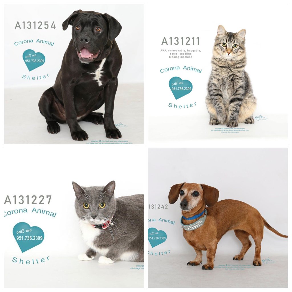 FriendsofCorona's tweet image. #picplaypost