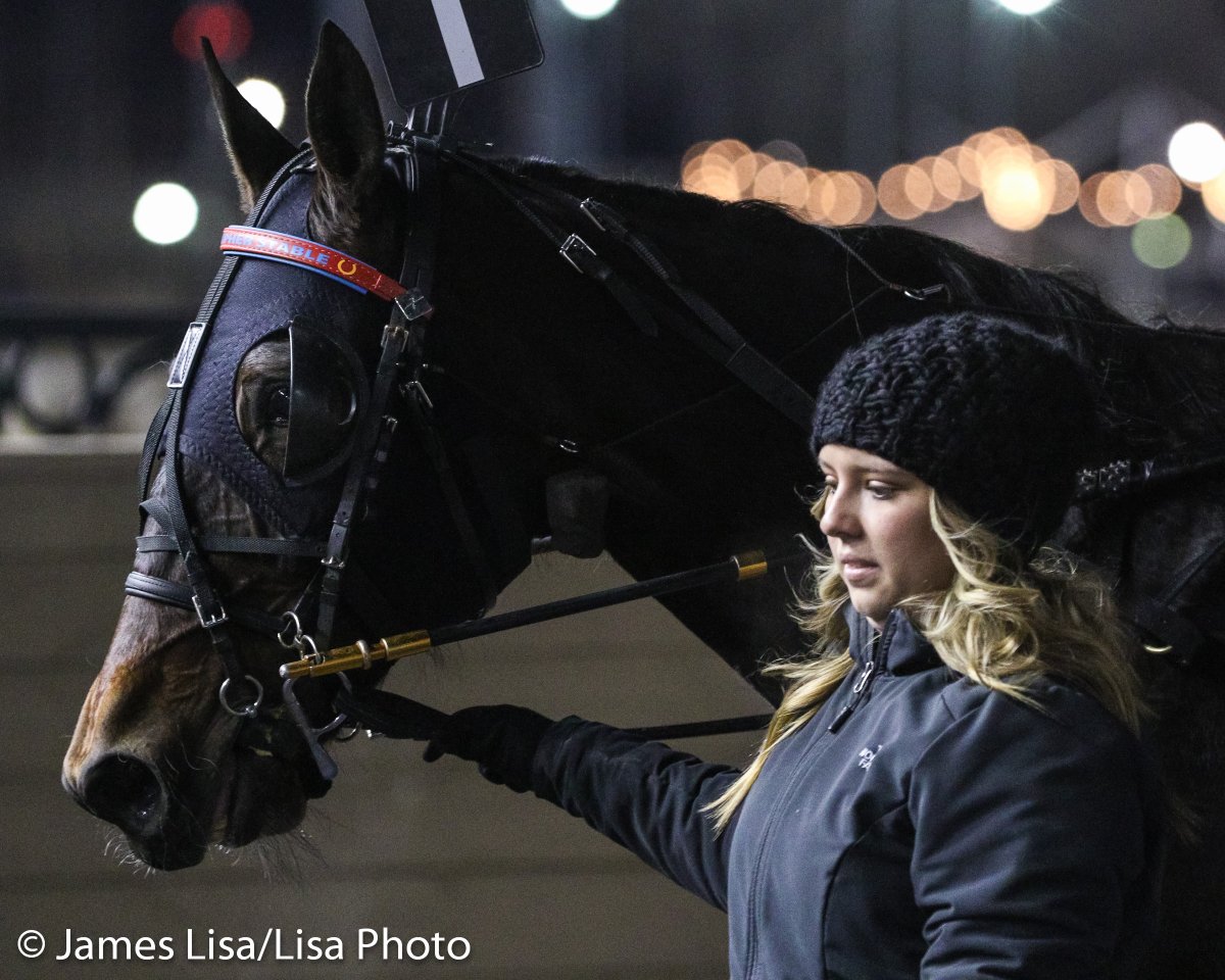 Lisa Photo (@lisaphotom1) on Twitter photo Thank you! Olivia Miller <a href="/OliviaeMillerr/">Olivia Miller</a> for helping us out in the Winner Circle <a href="/themeadowlands/">Meadowlands Racing</a> Great job! <a href="/andymiller97/">Andy</a> <a href="/eedoogie/">Dave Brower</a> <a href="/JessicaOtten1/">Jessica Otten</a> <a href="/DaveLittleBigM/">Dave Little</a> #harnessracing #PlayBigM <a href="/JulieMiller_20/">Julie miller</a> <a href="/tjmiller23/">TJ Miller</a> Thank you! Olivia Miller <a href="/OliviaeMillerr/">Olivia Miller</a> for helping us out in the Winner Circle <a href="/themeadowlands/">Meadowlands Racing</a> Great job! <a href="/andymiller97/">Andy</a> <a href="/eedoogie/">Dave Brower</a> <a href="/JessicaOtten1/">Jessica Otten</a> <a href="/DaveLittleBigM/">Dave Little</a> #harnessracing #PlayBigM <a href="/JulieMiller_20/">Julie miller</a> <a href="/tjmiller23/">TJ Miller</a>