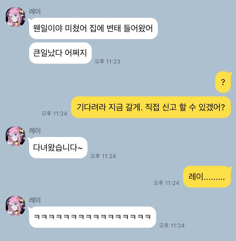 디오레이디오