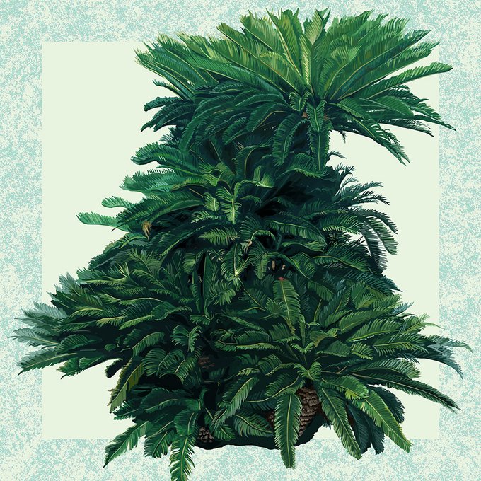 「椰子 植物」のTwitter画像/イラスト(新着)｜3ページ目