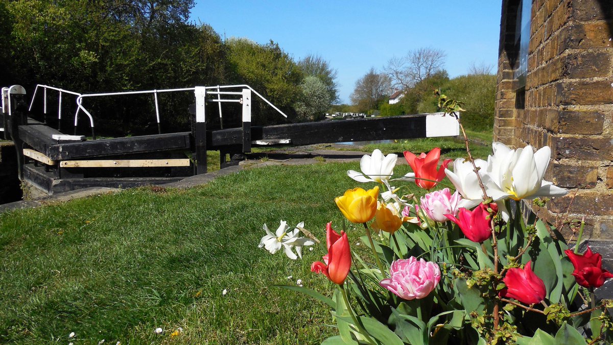 retired_tom's tweet photo. Photos from #Spring2016
#GrandUnionCanal
I'm sure #Spring will come eventually! - lets hope it's soon.
#CanalRiverTrust
#Canals & #Waterways can provide #Peace & #calm
for your own #Wellbeing
#LifesBetterByWater https://t.co/AGuJngy6ye