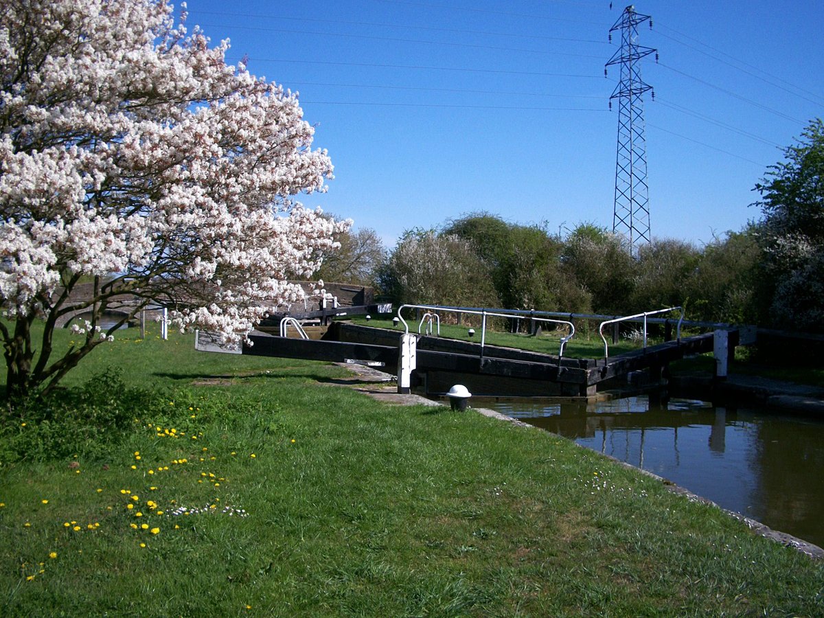 retired_tom's tweet photo. Photos from #Spring2016
#GrandUnionCanal
I'm sure #Spring will come eventually! - lets hope it's soon.
#CanalRiverTrust
#Canals & #Waterways can provide #Peace & #calm
for your own #Wellbeing
#LifesBetterByWater https://t.co/AGuJngy6ye