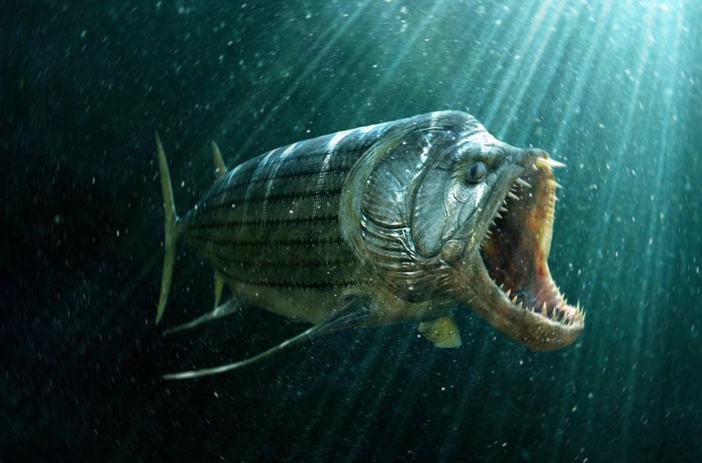 River Monsters Devil Fish