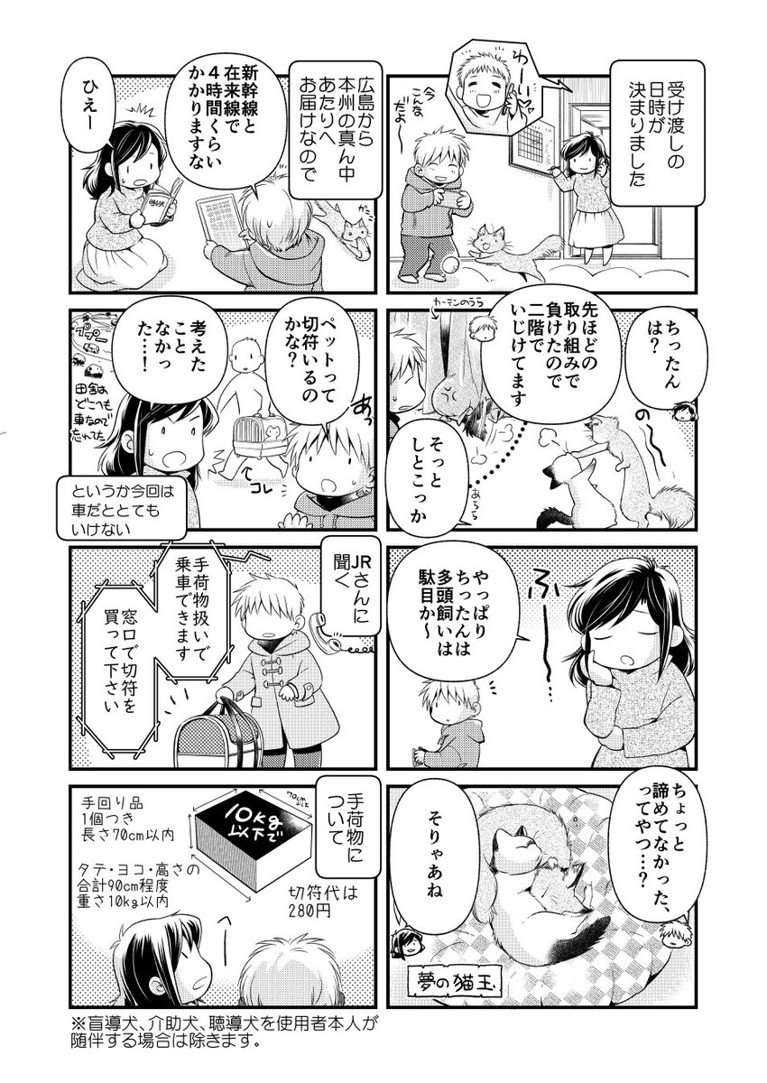 【CM】2月16日発売の雑誌『ねことも4月号』に「ちたにゃんがきた!」の最新話が掲載されました。仔猫の長距離電車移動トライアル編です(*╹◡╹)どうぞよろしくお願い致します? 