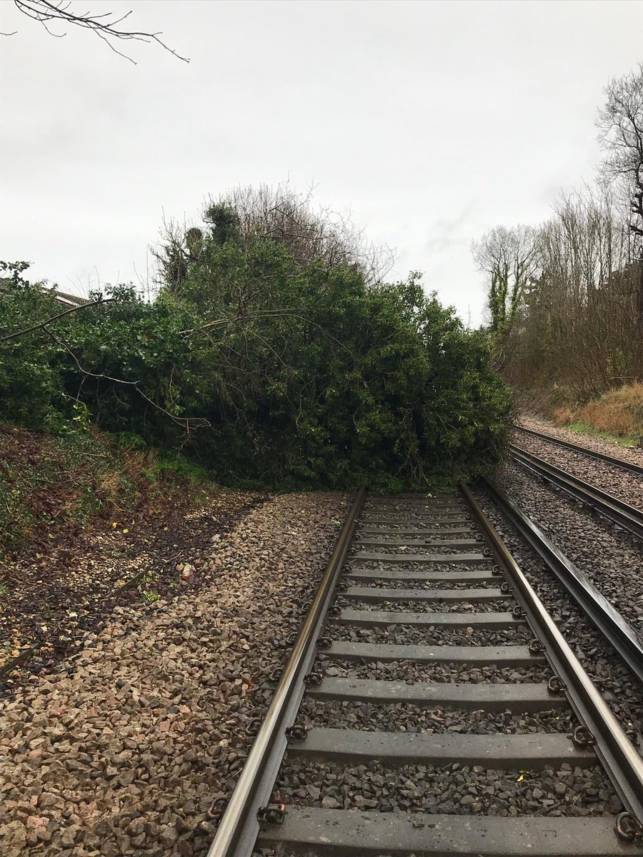 NetworkRailSE's tweet image. The team removing this tree at Hurst Green will motor to Cowden as soon as they are finished and get the Uckfield line open. Until then we're sorry but the line will remain blocked. #SNUpdates
