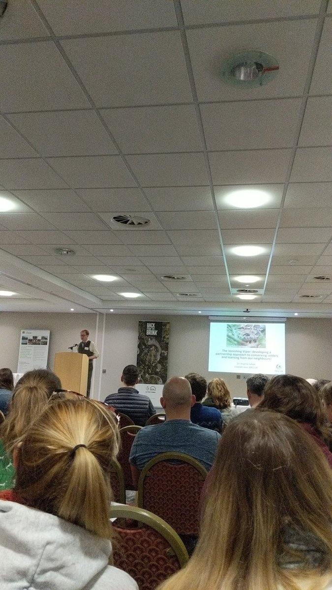 North West Wales ARG tweet media