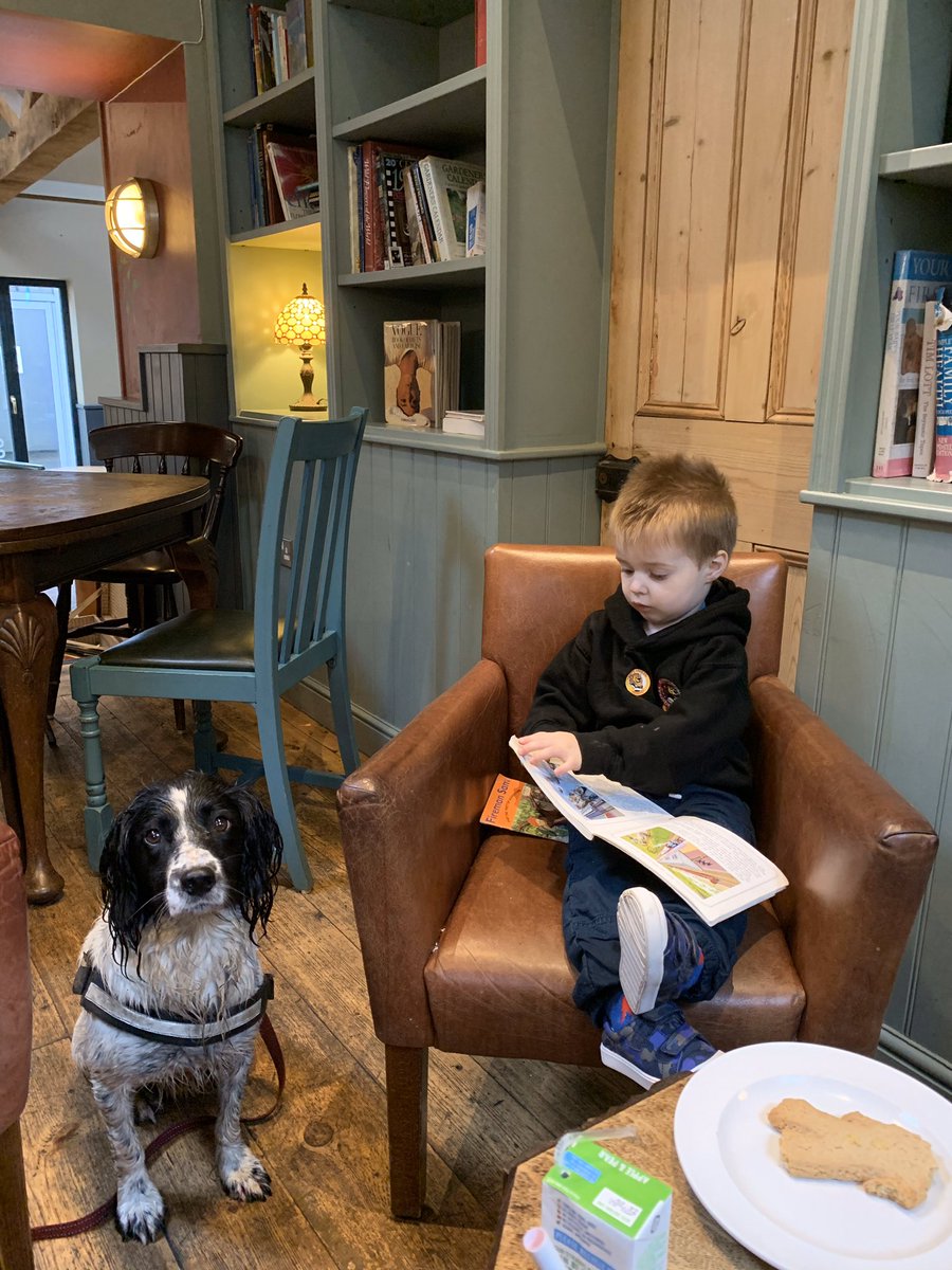 OlafsAdventure's tweet photo. Soggy dog walk then warming up in a coffee shop. #myperfectsunday https://t.co/niLXNwOSKb