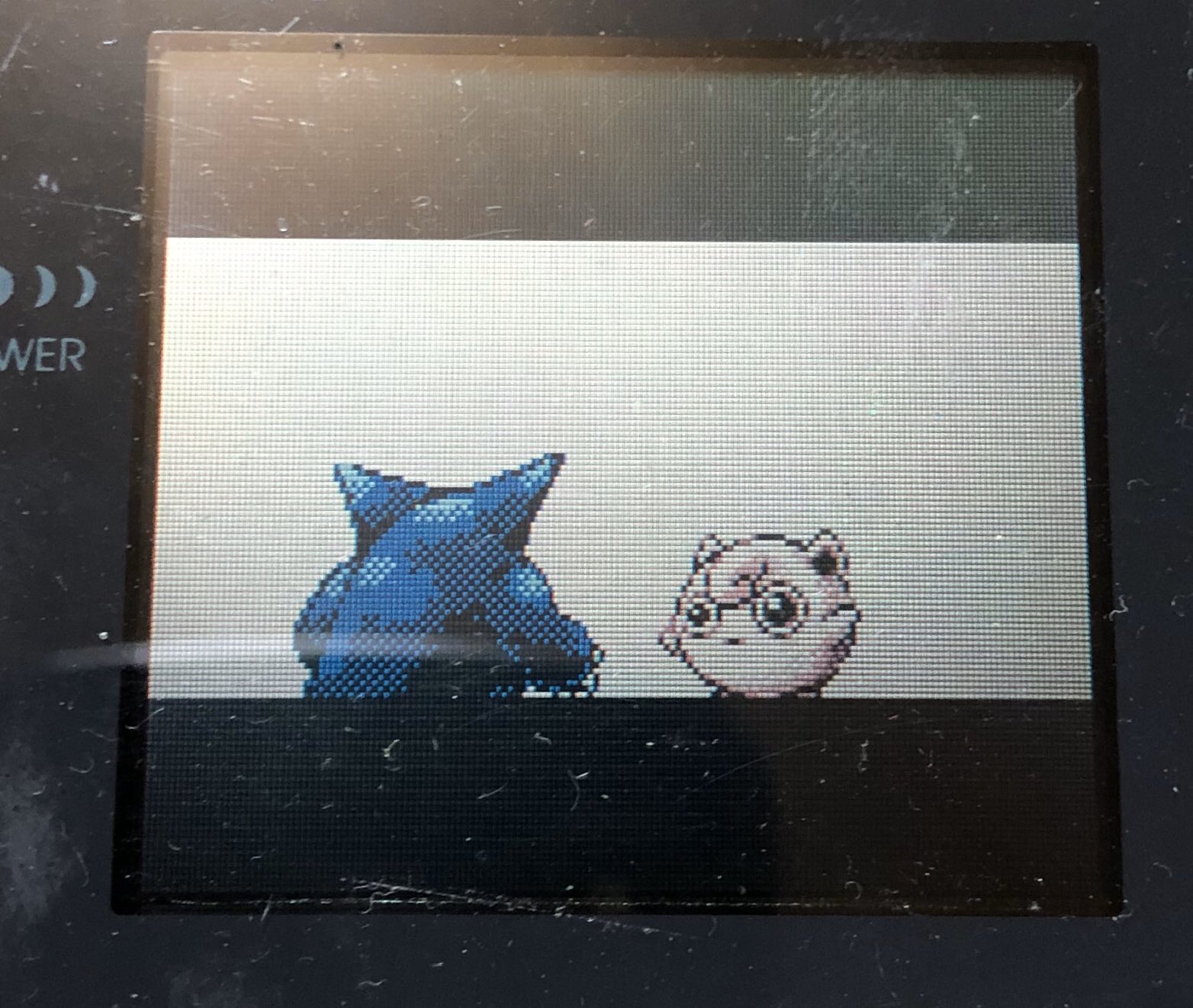 生存者 初代ポケモンのオープニングムービー 青版だとゲンガー対プリンになってるんですよね T Co Safmncfsib Twitter