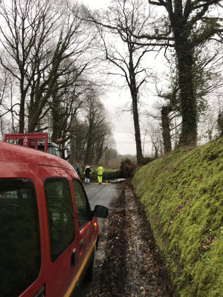 Thibaut ferme du chapelais tweet media