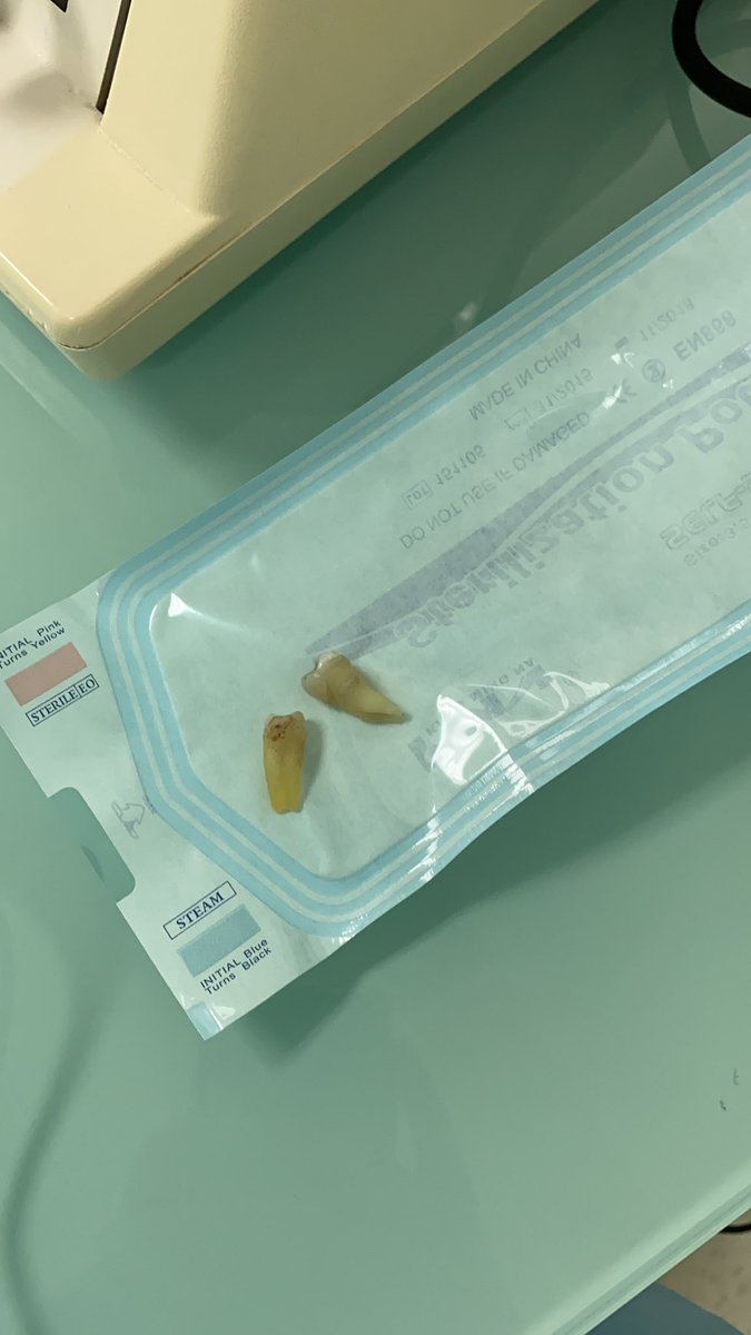 Who left his teeth here? 🤔