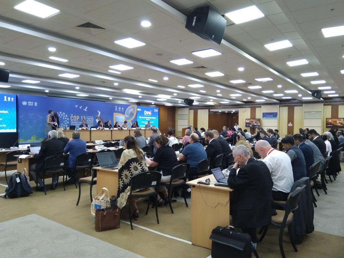 jenny_renell's tweet photo. 50th meeting of the CMS Standing Committee #StC50 organizes work & discusses budget, composition of committees, and timing of future CMS meetings pre #CMSCOP13 π Also the StC Chair, Γystein Storkersen, is stepping down after max term - many thanks for your strong leadership! https://t.co/cgQFBP1XSn