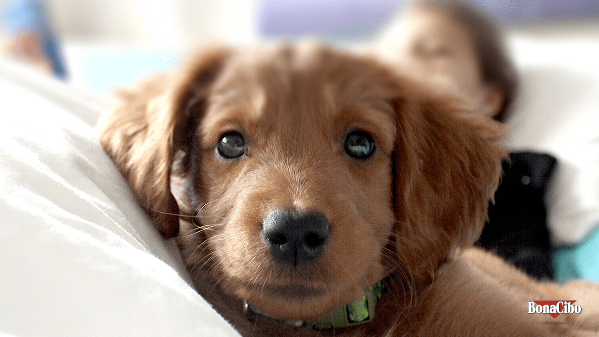 Tüm sevdiklerinizle birlikte huzur ve mutluluk dolu bir hafta sonu geçirmeniz dileğiyle...

#MutluPazarlar ❤️