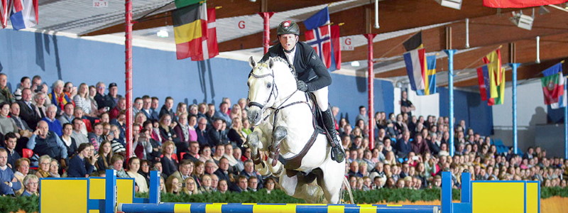 Sosaths Hengstschau mit Championats-Flair - reitsport-events.com/sosaths-hengst…