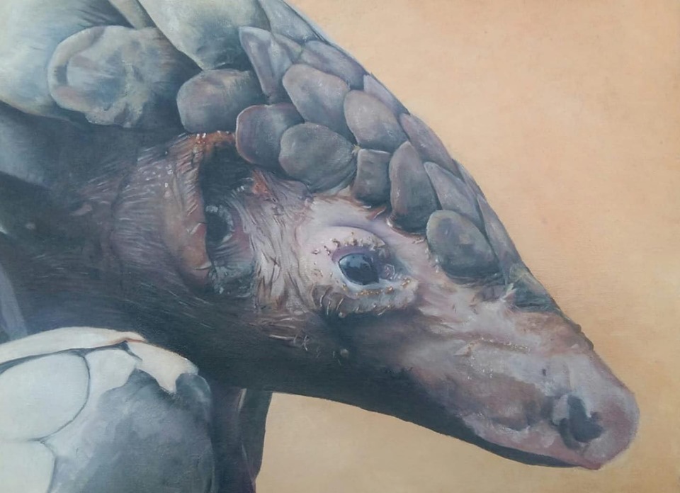 edu4naturevn's tweet photo. 2nd and 3rd place winners of the #ENVPangolinArtCompetition 🏅 Mee Mee (Minh Long) gives us hope for the future of wildlife conservation and the oil painting by Antoinette Coetzee beautifully captures the #pangolin 

#PangolinPower #EndWildlifeCrime https://t.co/8hcTVc8qmq