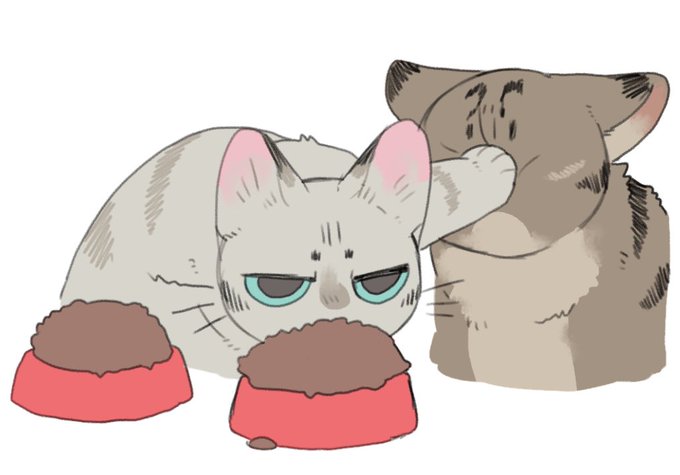 「猫」 illustration images(Popular))
