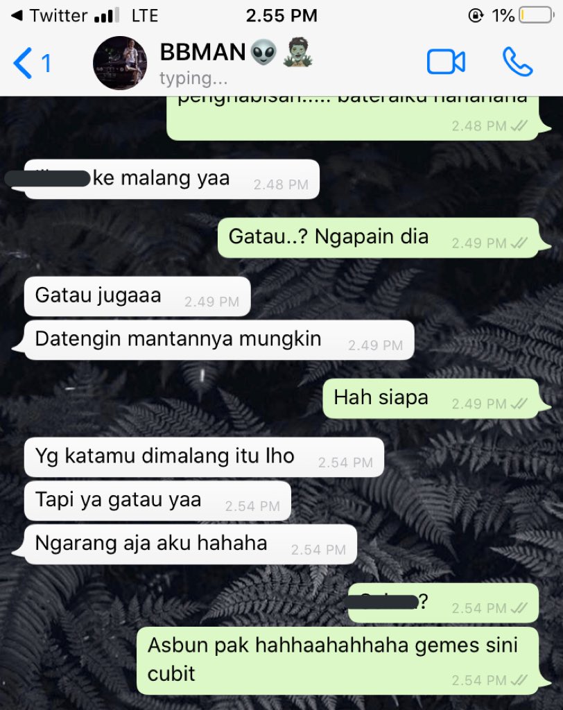 Schleeping Peels tweet media