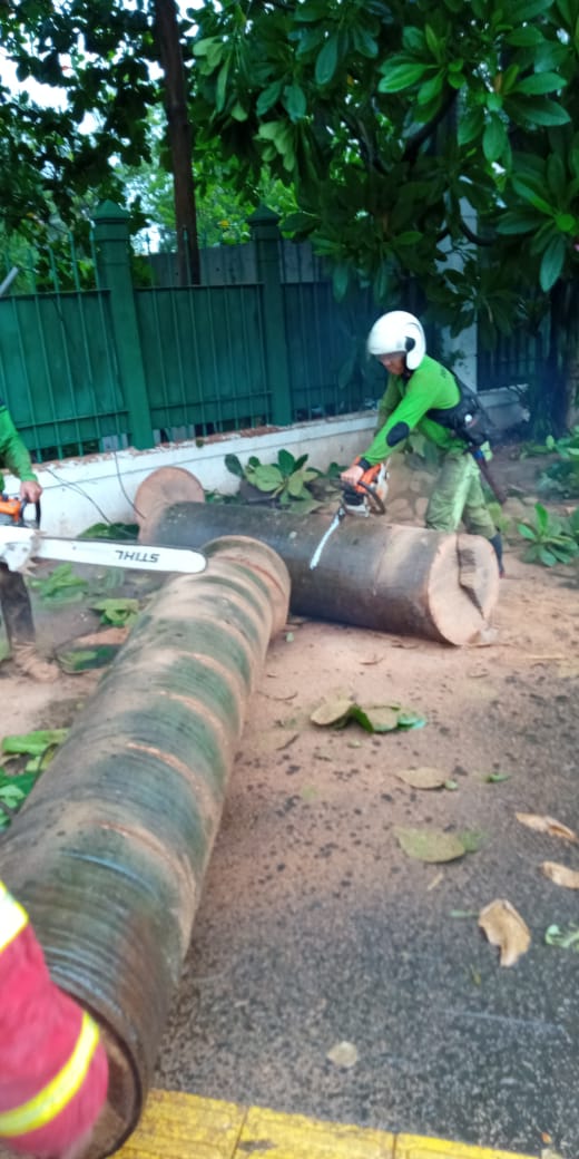 16.00.Penanganan pohon tumbang dijl.Jendral Sudirman #JKT @aniesupdatenews <a href="/BPBDJakarta/">BPBD DKI JAKARTA</a> <a href="/TMCPoldaMetro/">TMC Polda Metro Jaya</a> <a href="/RadioElshinta/">Radio Elshinta</a>