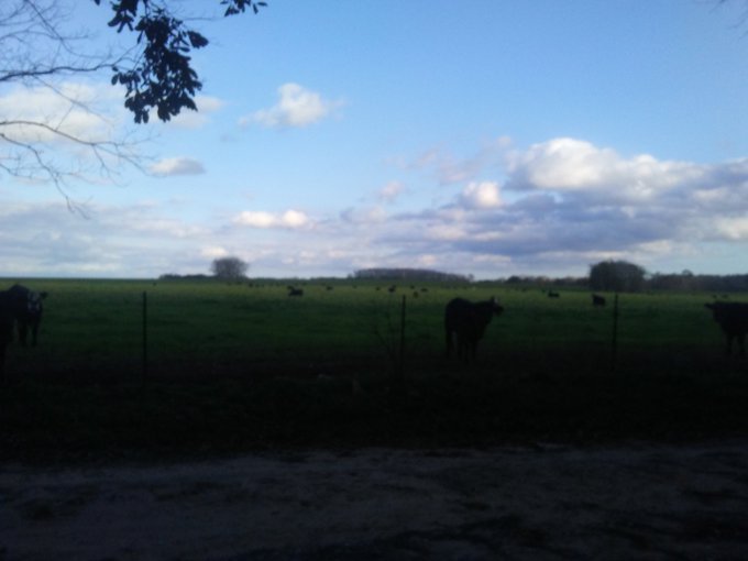 AthenaPink-home on the range!   #hotmommy #tabooroleplay #hotmilf https://t.co/bL29E1OwEl<a href="/tag/hotmommy"class="tags">#hotmommy</a><a href="/tag/tabooroleplay"class="tags">#tabooroleplay</a><a href="/tag/hotmilf"class="tags"><span>#hotmilf</span></a>