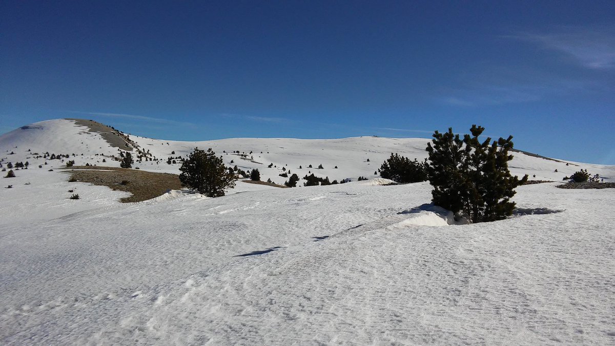 Repte👇
100cims & RaquetesNeu

❄Temporada 2020

Km de neu
#Pedrodelsquatrebatlles 
#2386m #100Cims #PortdelComte #Solsonès #raquetesneu2020 #RaquetesdeNeu #pirineu #UmeGavà #snow #snowactivities
#100cims_raquetesdeneu

@catexperience
@TuixentLaVansa
@esportcat
@FEEC_cat 
💯cims