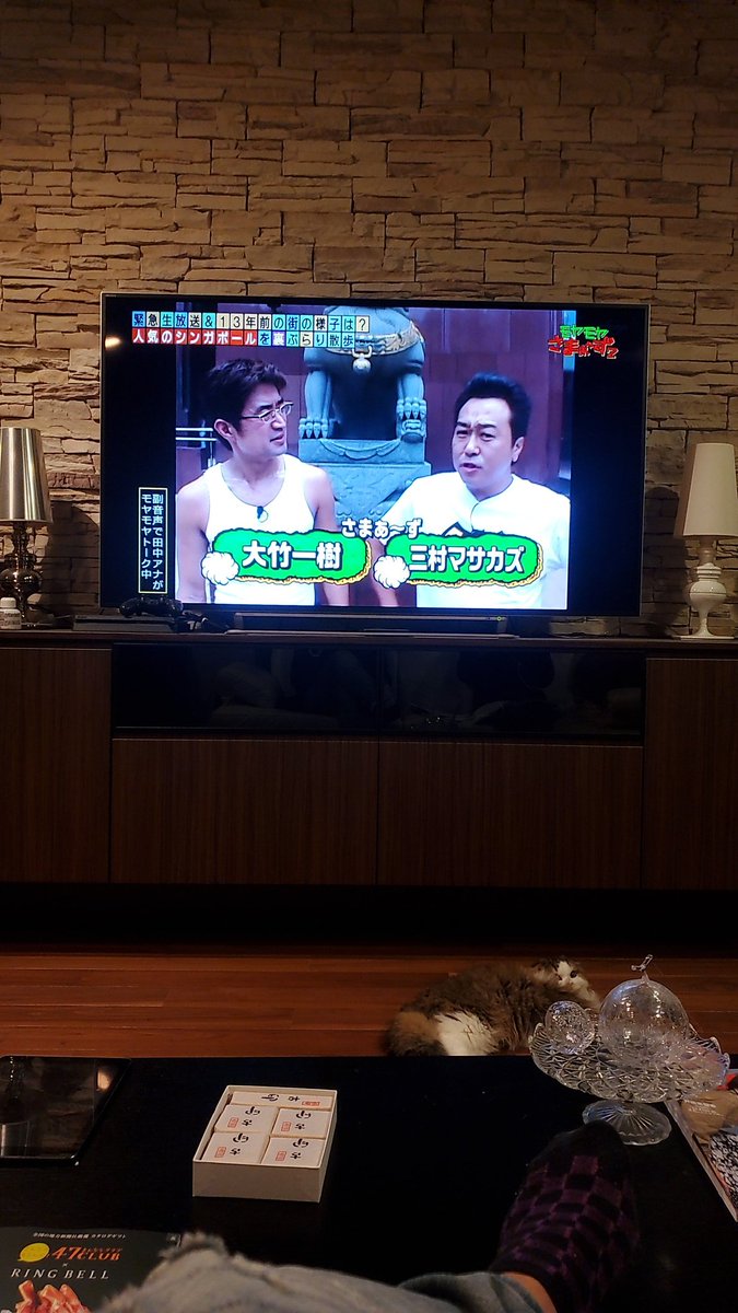 モヤモヤさまぁ ずで シンガポール が話題に 11ページ目 トレンドアットtv