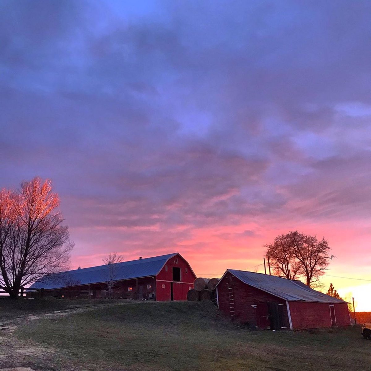 SpokanePulse tweet media
