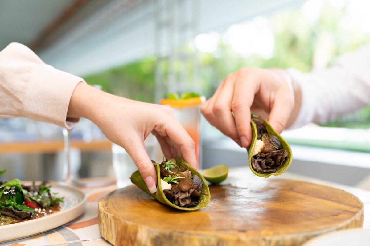 Diez y Seis tweet media