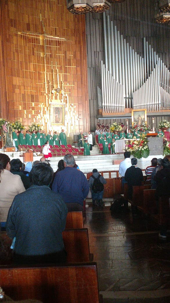 Luz Angela Rivera tweet media