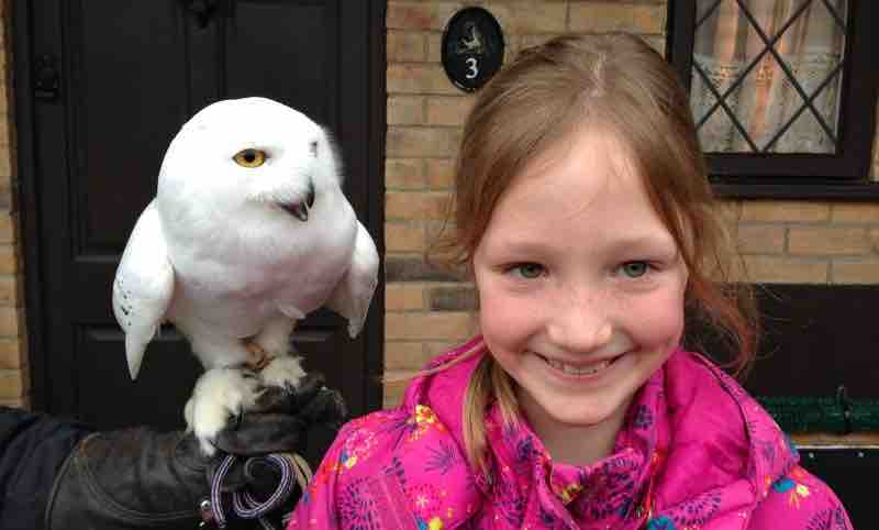 BritMums's tweet image. #AD Make magic this Half term: Take your little wizard to the Making of Harry Potter and save on tickets! Spend £100 with Klook and save £10 with UKHalfTerm code!  bit.ly/3bgnzyf #KlookHalfTerm