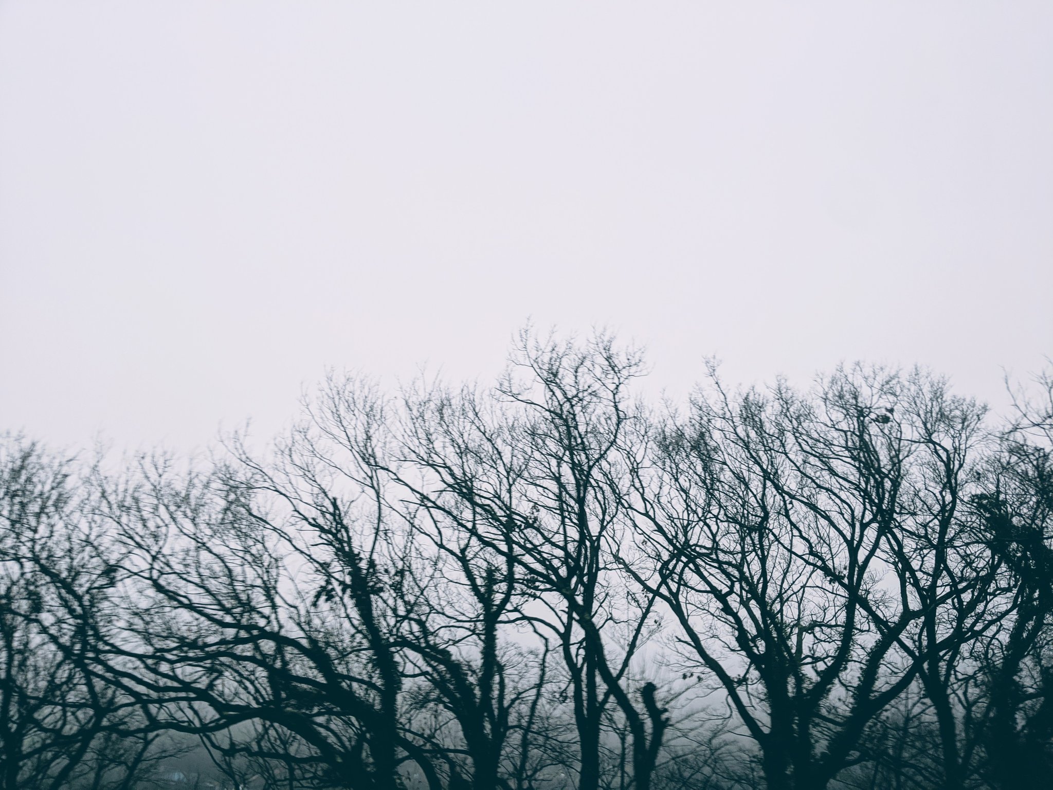 アラ氏さん 霧の峠道 雨降りに立ち込める霧 少し先も見えない程で 凄かった 霧のむこうのふしぎな町 の思い出すような雰囲気でした T Co W4t49vrnwx Twitter