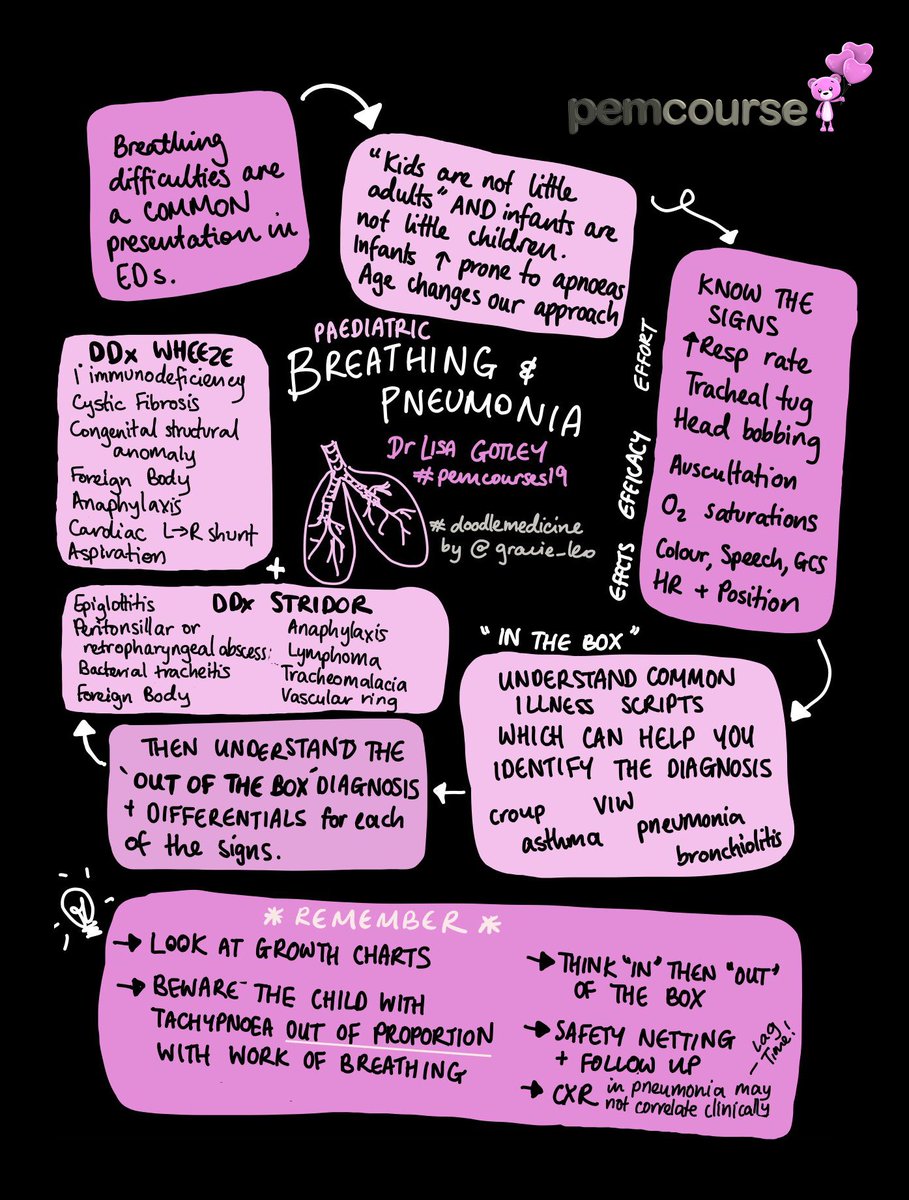 PemCourses's tweet photo. Rounding out a super start to #PEMcourse20 @LisaGotley goes deep on Pneumonia. #FOAMed #FOAMped @doodlemedicine from @gracie_leo https://t.co/trveoiITgS