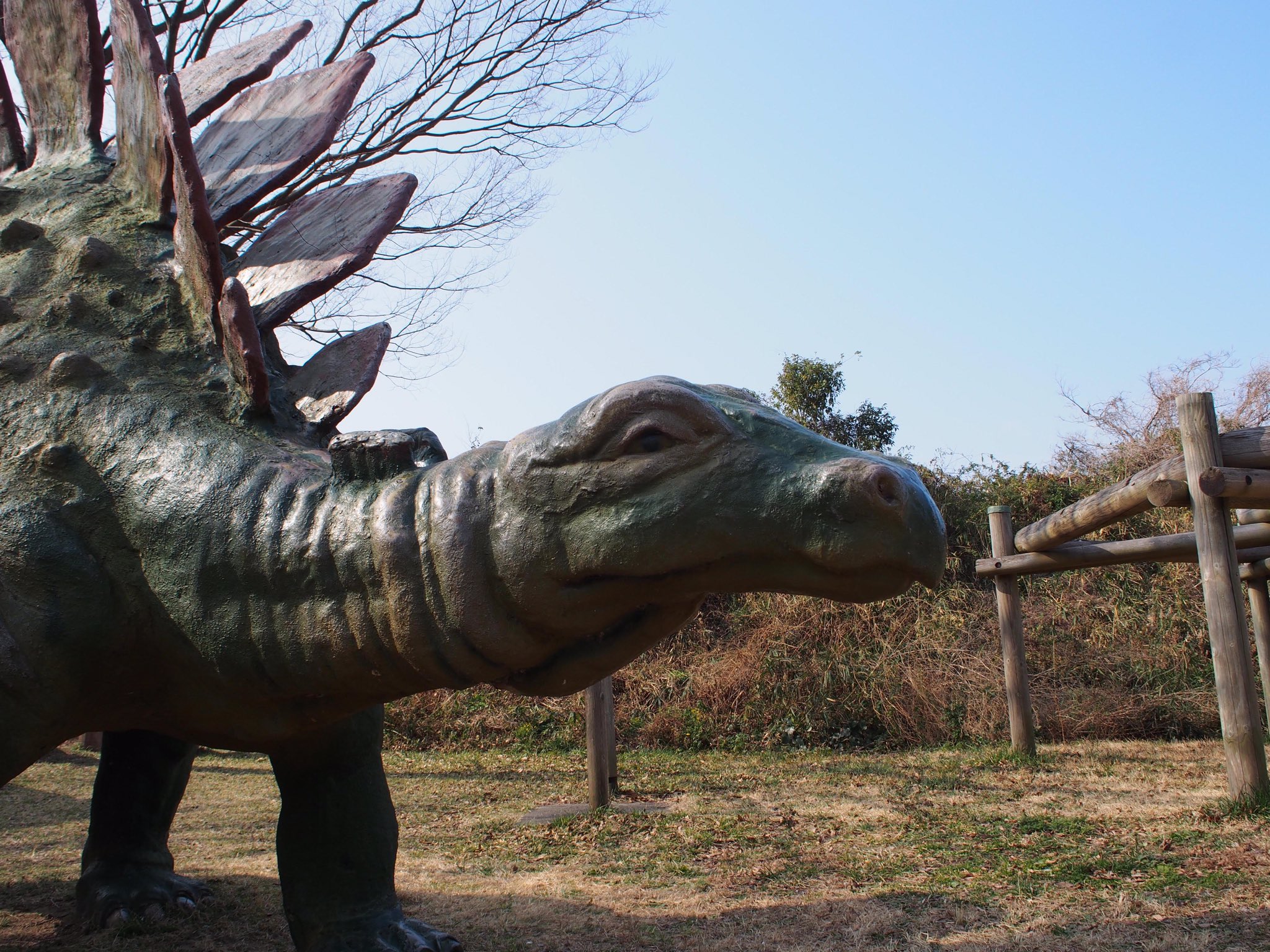 全日本旅オブザイヤー委員会 森林公園 和歌山県和歌山市 森林公園と名がつくと恐竜 の像が建てられるものなのでしょうか パンダにコアラ 恐竜だけでなく味わい深い哺乳類像が鎮座します 特に何もないお散歩スポットですが パンダの顔がじわじわ来るので